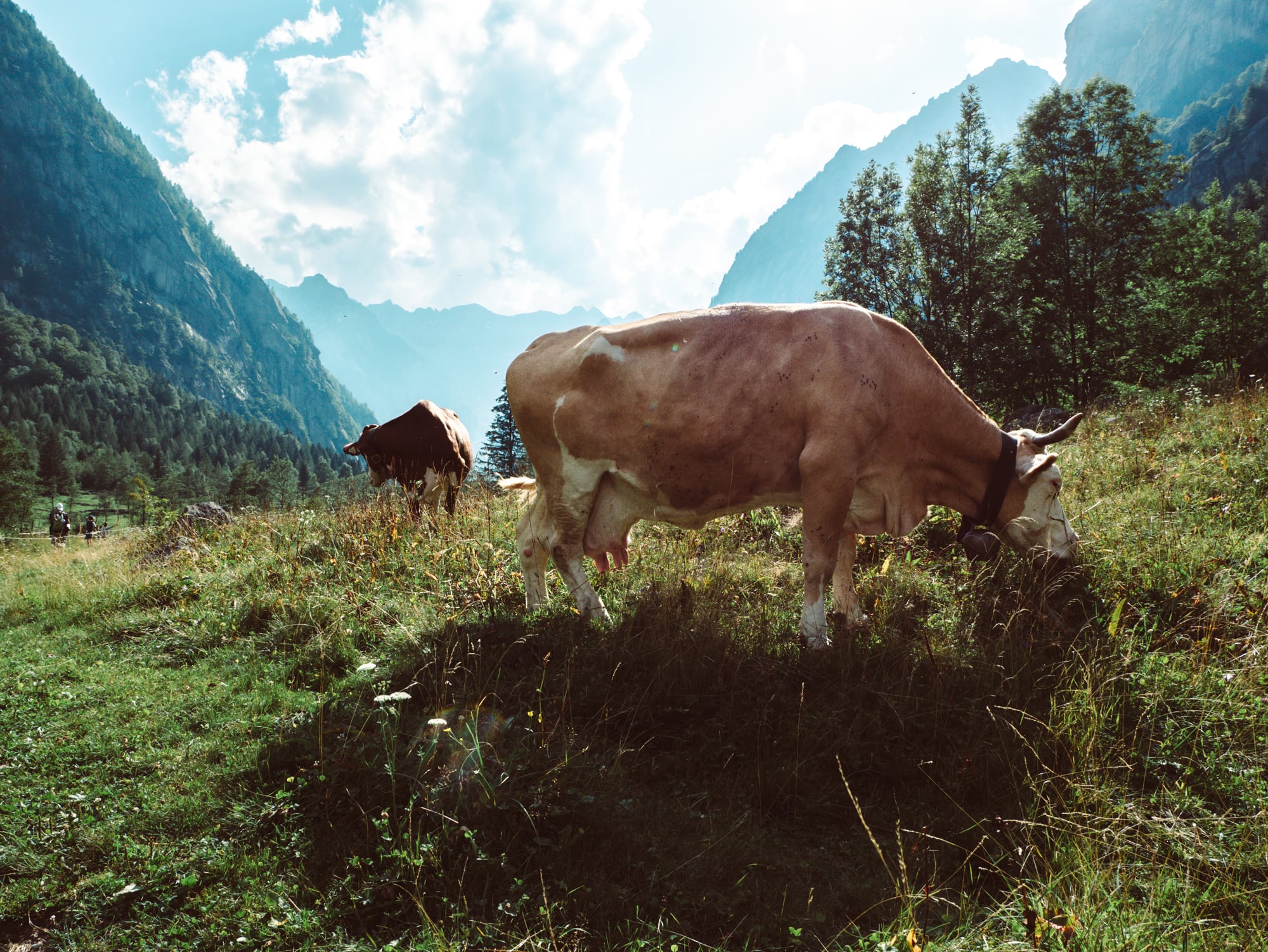 Due giorni in Valtellina, tra la Val di Mello e Passo di San Marco | Collater.al