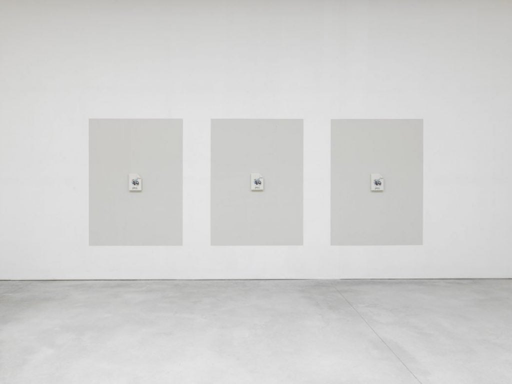 Alan Belcher | Collater.al 12