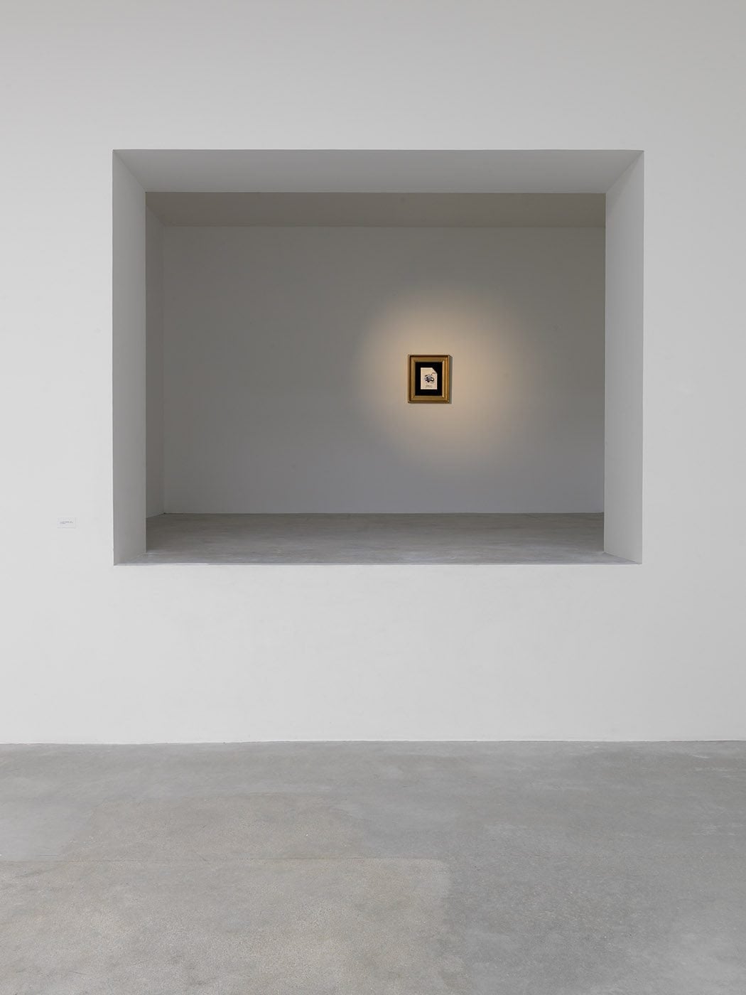 Alan Belcher | Collater.al 8