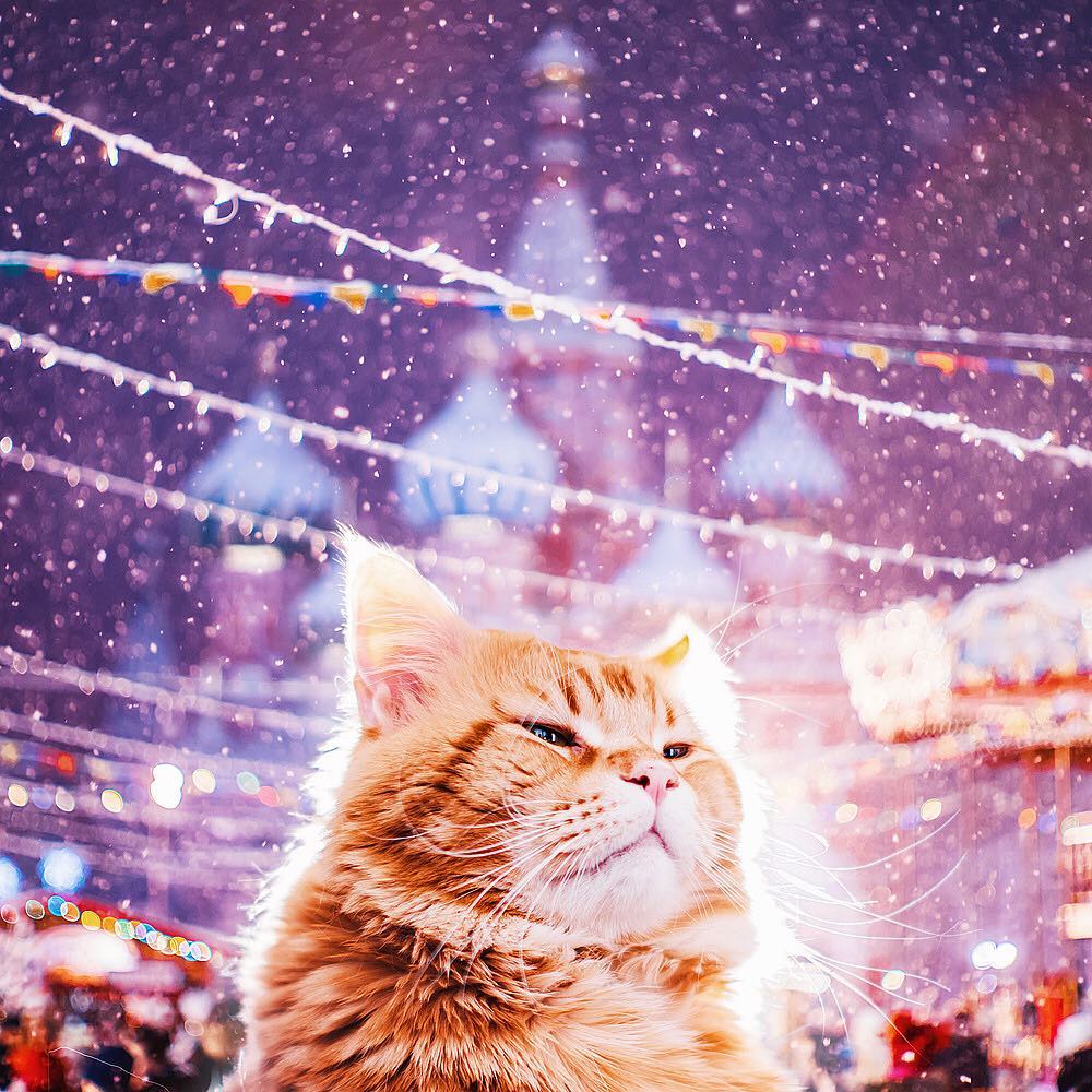 InstHunt – Le 10 migliori foto della settimana su Instagram Christmas | Collater.al