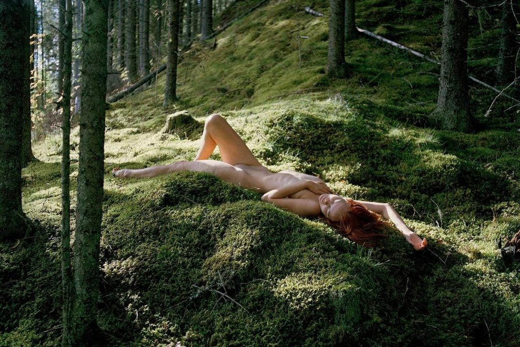 Simbiosi, il progetto fotografico di Noora-Maija Tokee | Collater.al 3