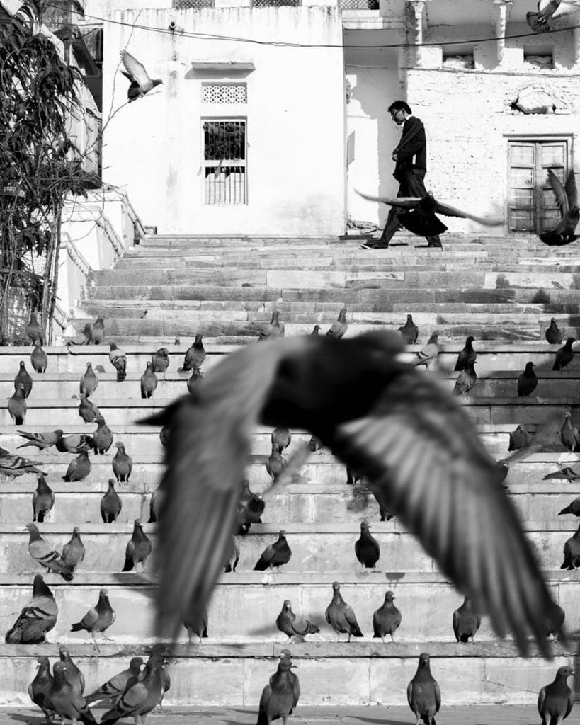 InstHunt – Le 10 migliori foto della settimana su Instagram bn | Collater.al