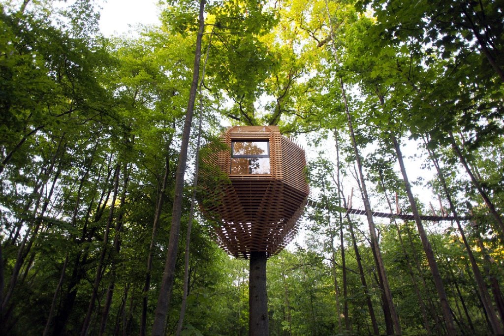 ORIGIN Tree House, la bellissima casa sull’albero di Atelier Levit | Collater.al 2