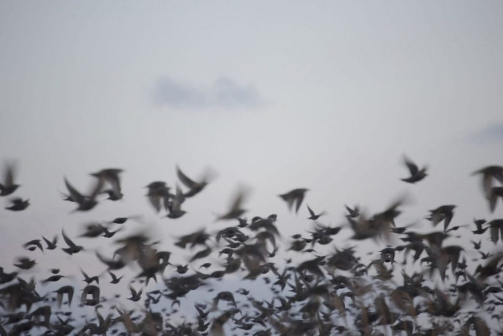 La poesia visiva di Rinko Kawauchi | Collater.al 8