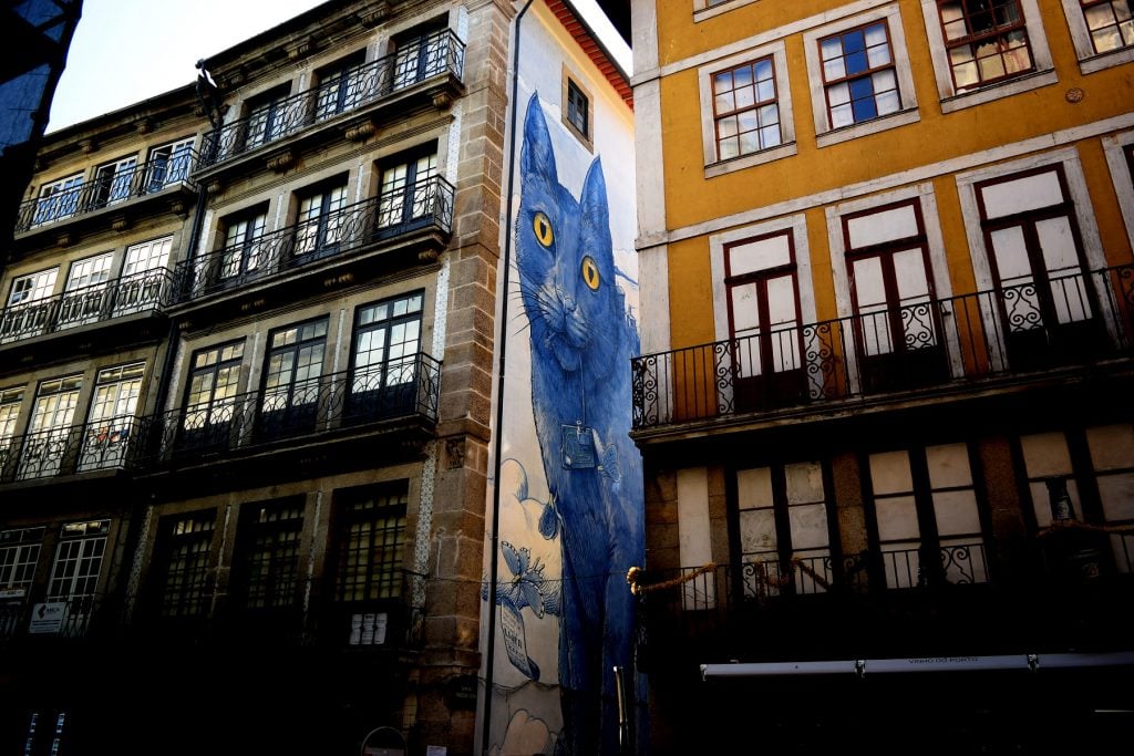 Perspentico, il grande gatto blu dello street artist Liqen | Collater.al 2