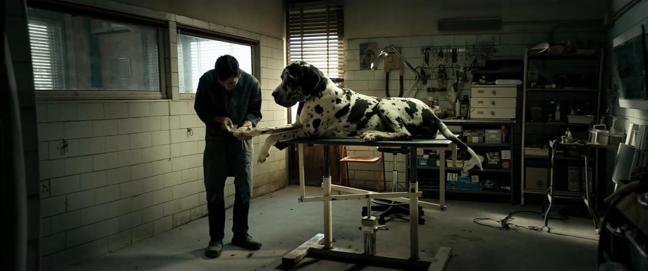Dogman e il nuovo western urbano diretto da Garrone | Collater.al