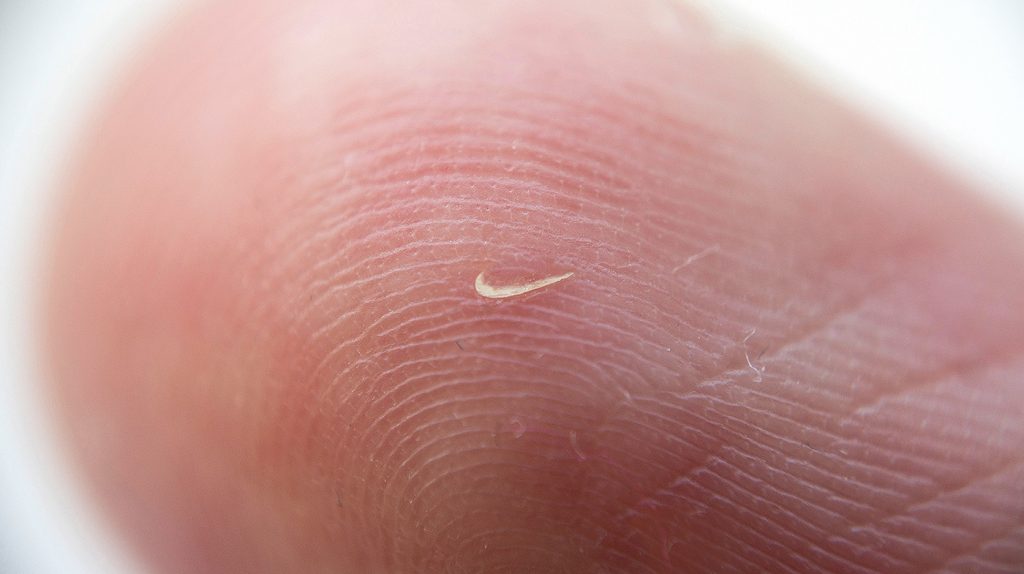 Just, gli swoosh della Nike di Local Preacher | Collater.al 4