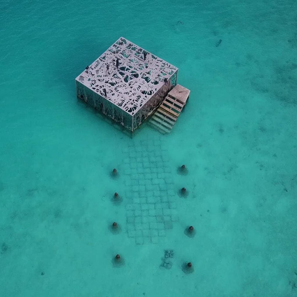 Coralarium | Collater.al