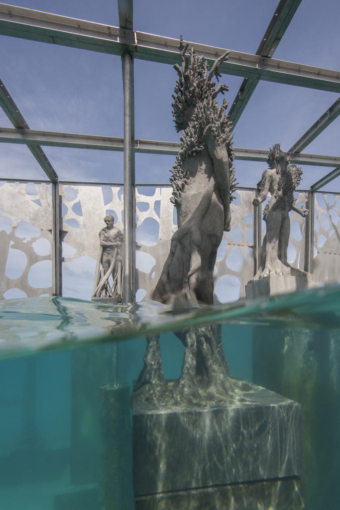Coralarium | Collater.al