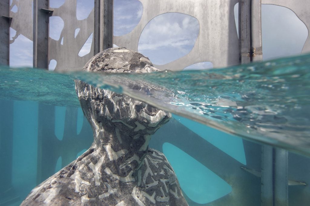 Coralarium | Collater.al