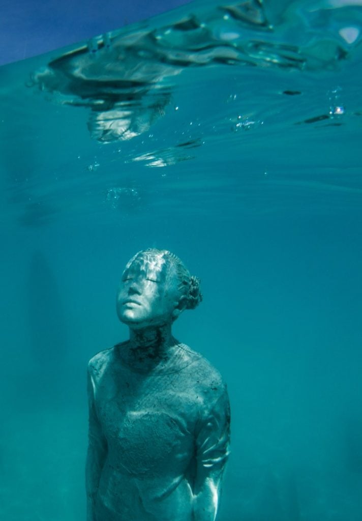 Coralarium | Collater.al