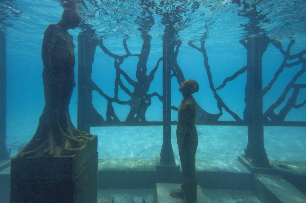 Coralarium | Collater.al