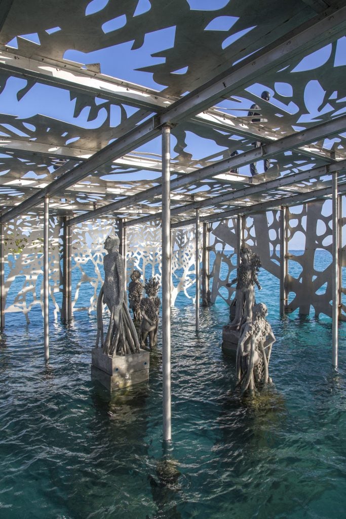 Coralarium | Collater.al