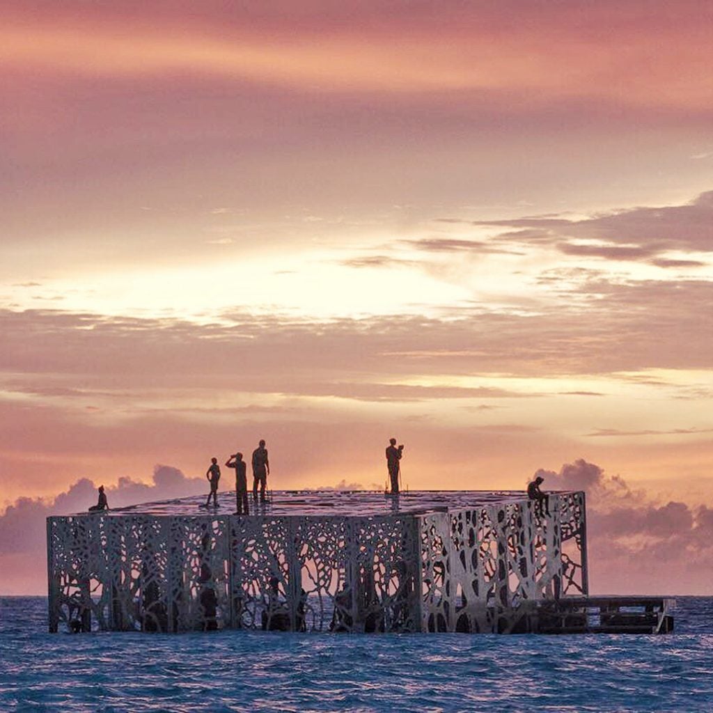 Coralarium | Collater.al