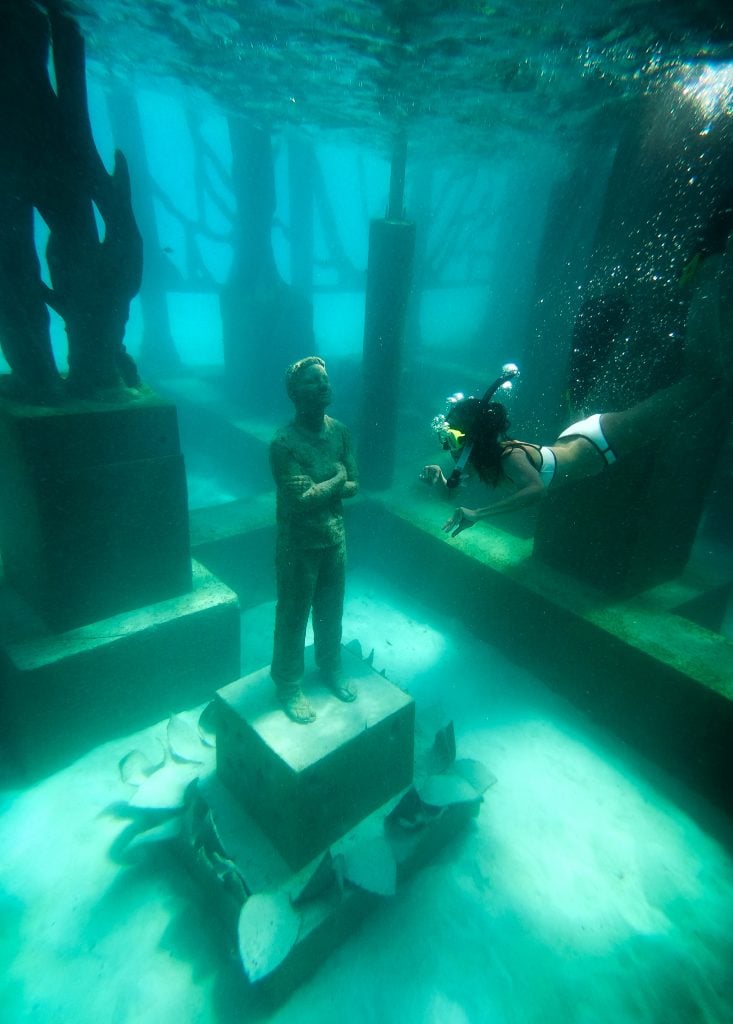 Coralarium | Collater.al
