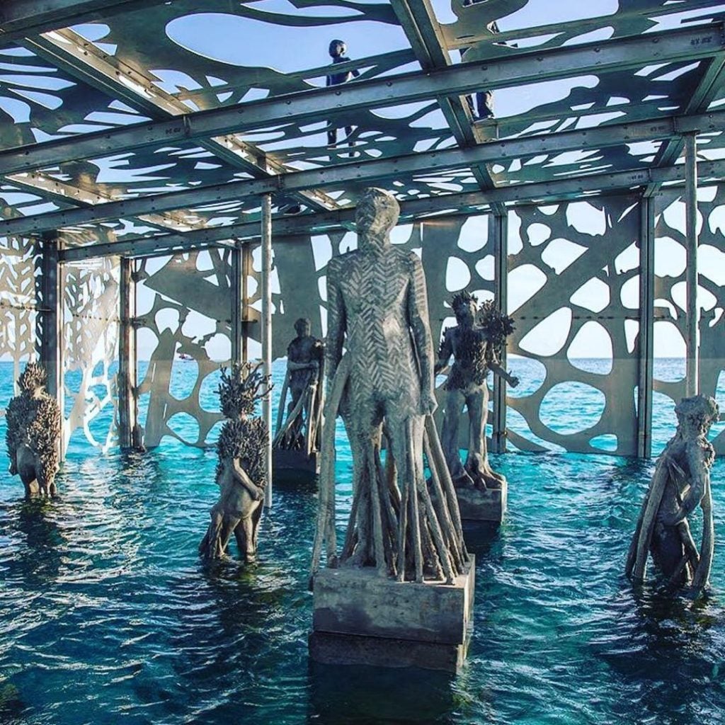 Coralarium | Collater.al