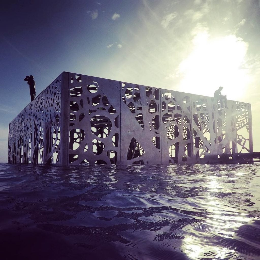 Coralarium | Collater.al