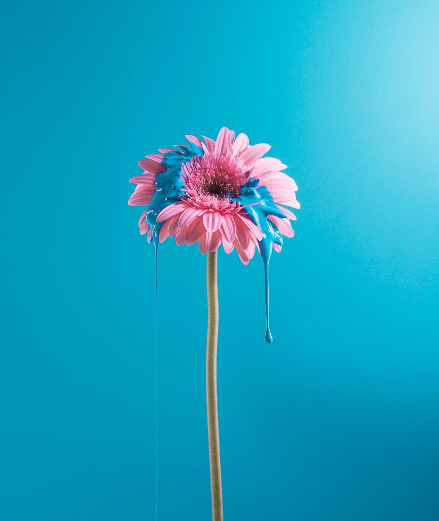 Dripping, i fiori con vernice di Cristo Oviedo e Paula Posadas Alvarez | Collater.al 5