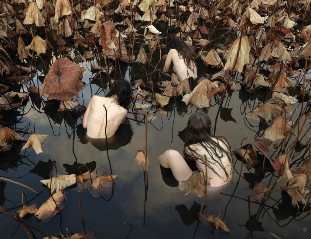 La bellezza della natura nelle foto di Tamara Dean | Collater.al 6
