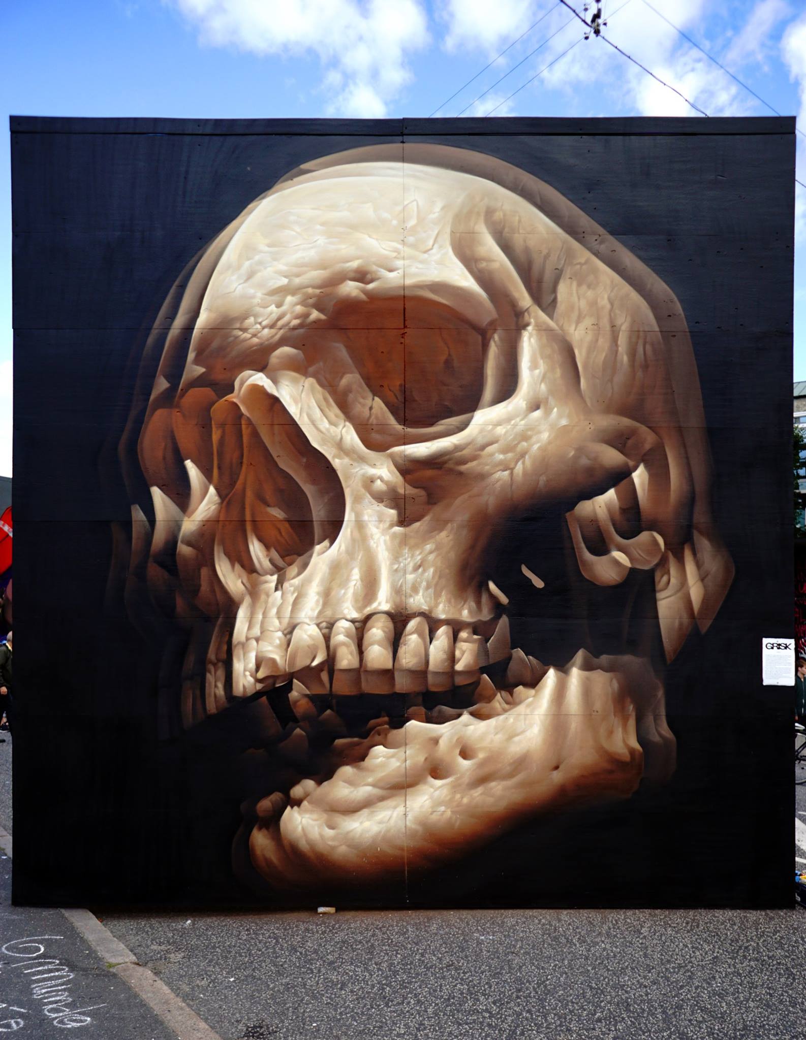 Insane51 | Collater.al 