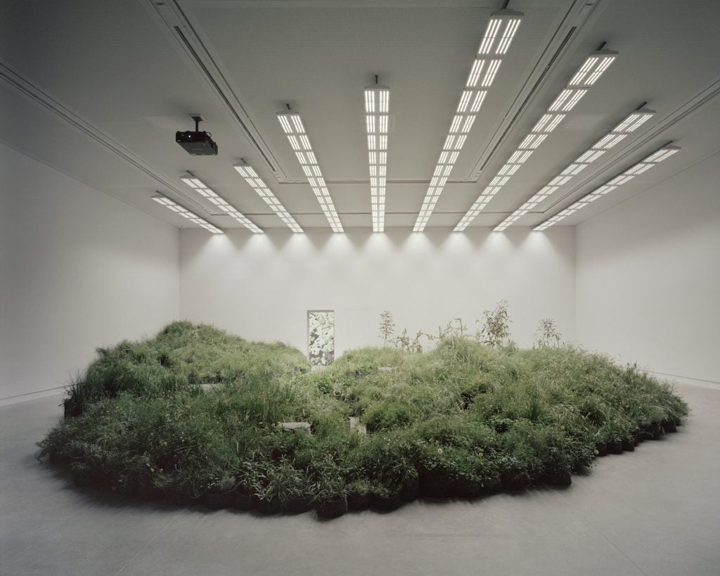 Grasslands Repair è la spettacolare installazione di Linda Tegg | Collater.al