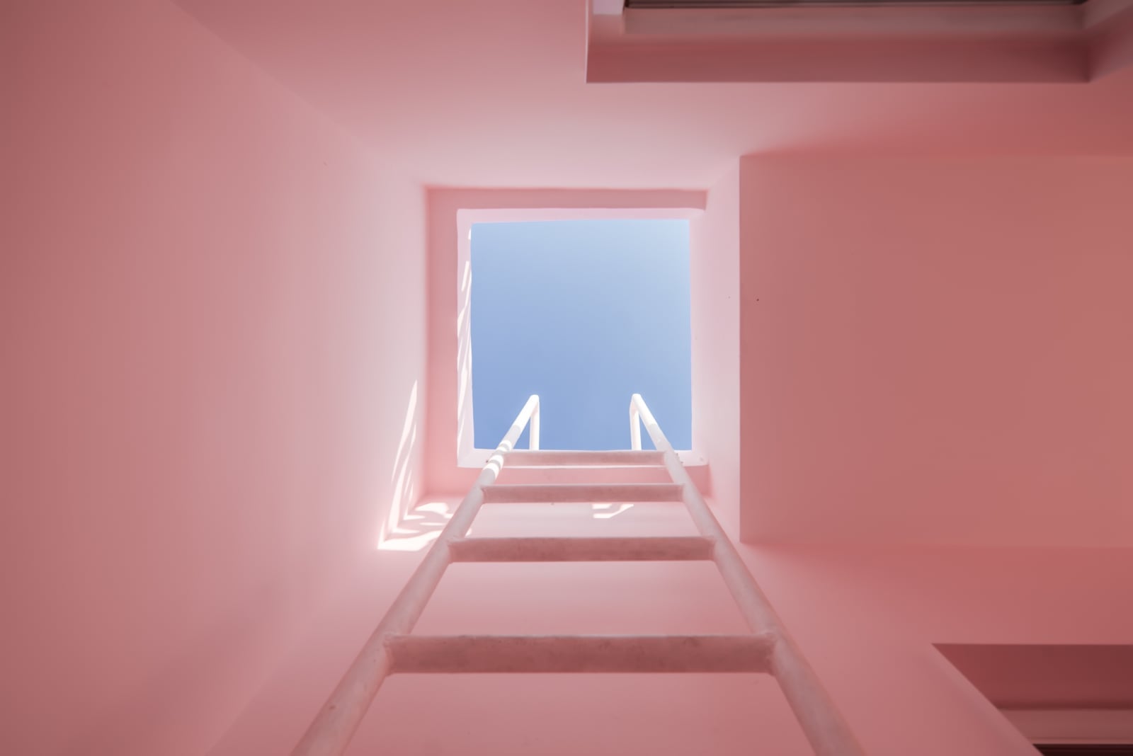 His House and Her House è il nuovo progetto firmato Wutopia Lab | Collater.al
