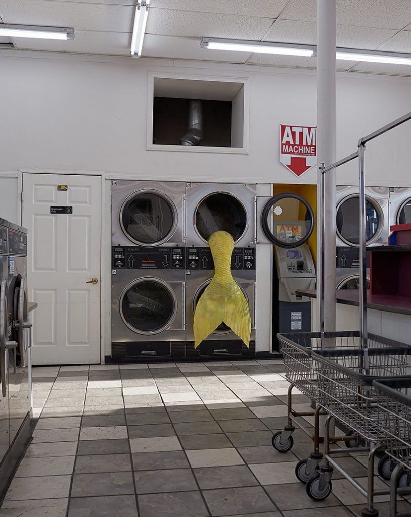 Le sirene invadono Los Angeles, guarda le foto virali | Collater.al