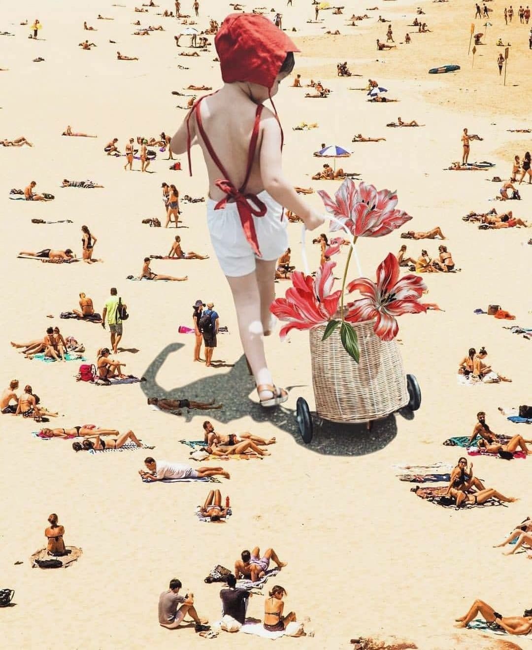 Luciana Aranha e i suoi folli collage pop-floreali | Collater.al