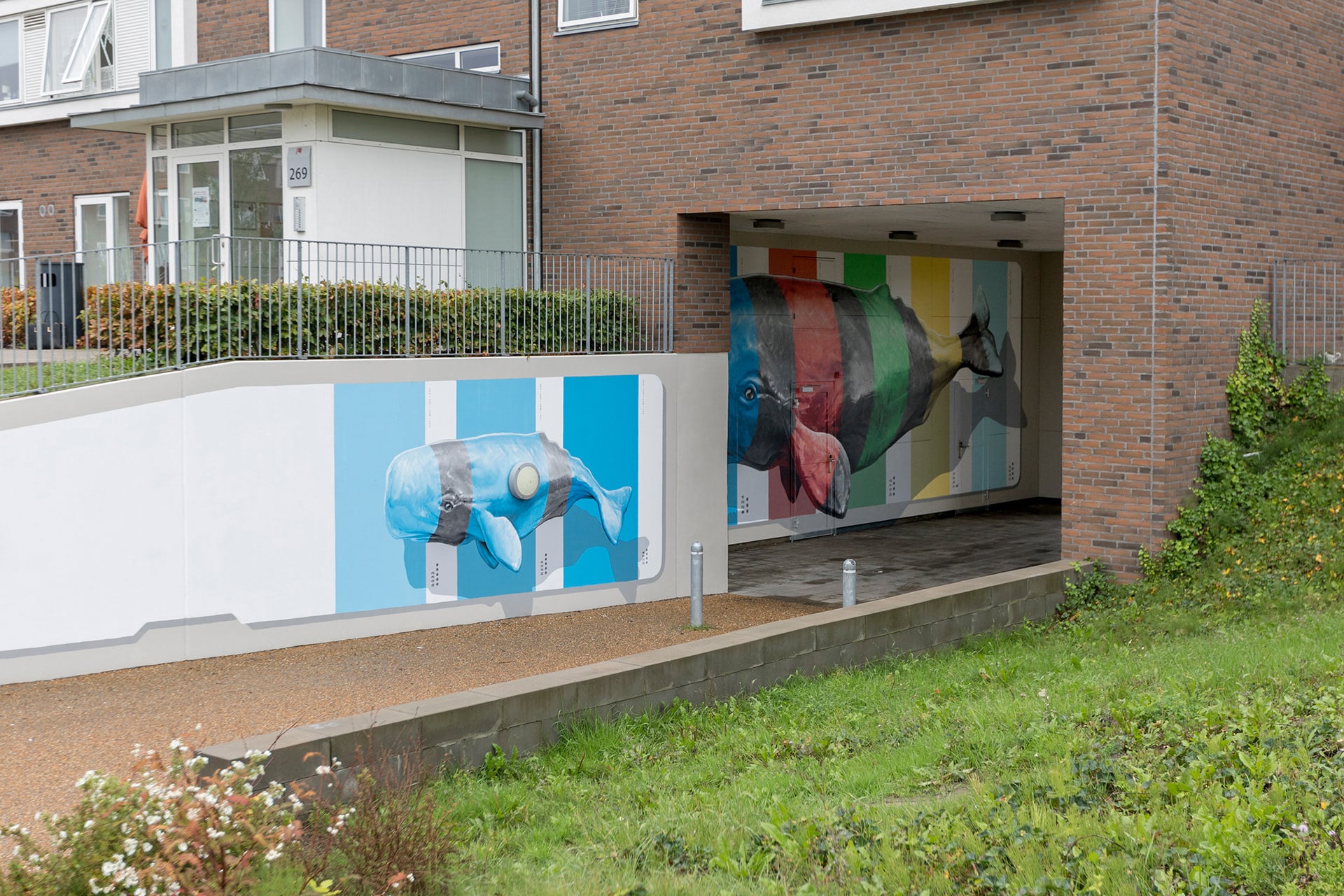 Nuances selection | Collater.al