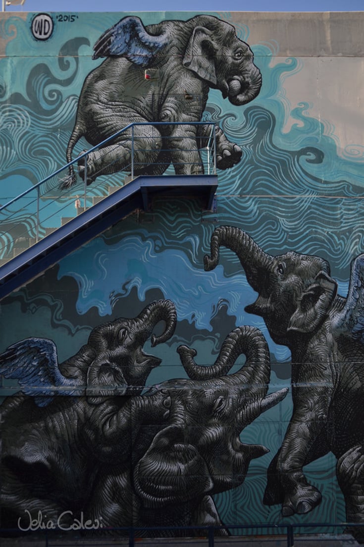 Oltre il muro, la street art di Wild Drawing | Collater.al