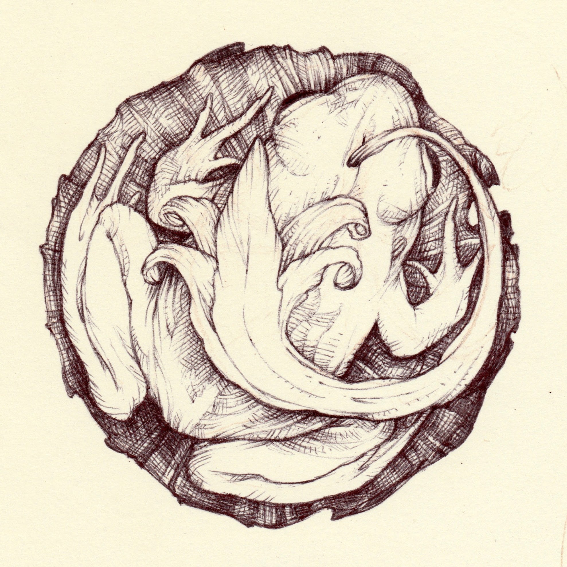 Illustrated Interview - l'immaginario di Marco Mazzoni | Collater.al