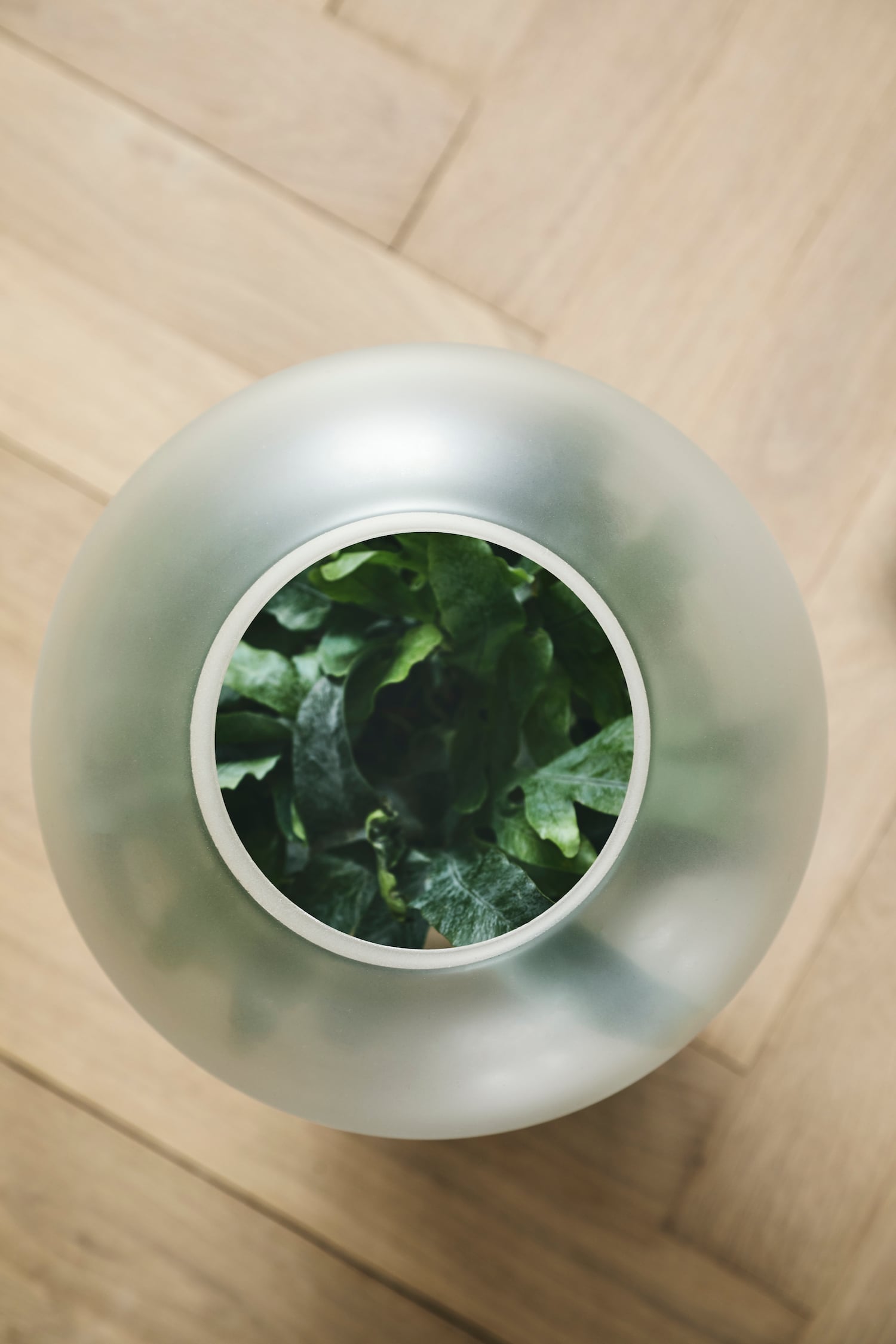 Nebl | Collater.al