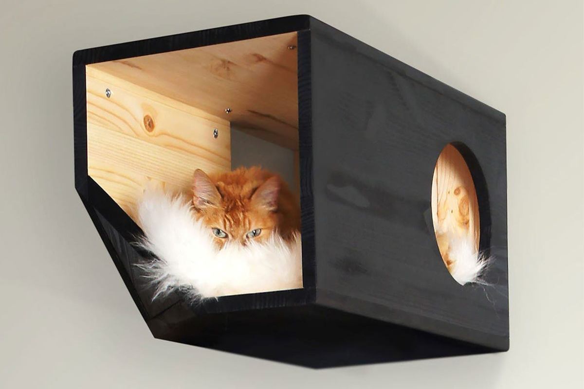 Tuft Paw | Collater.al