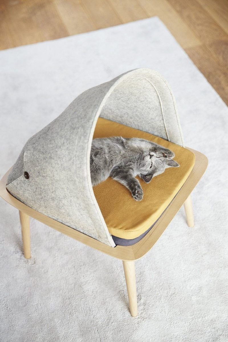 Tuft Paw | Collater.al