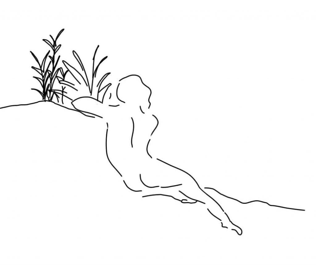 scar illustration | Collater.al 5