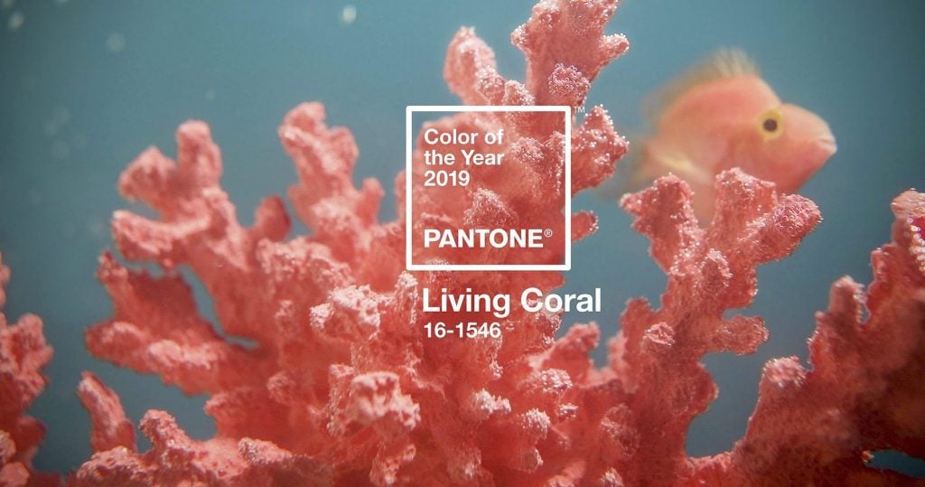 Pantone Living Coral Color of the Year 2019 | Collater.al