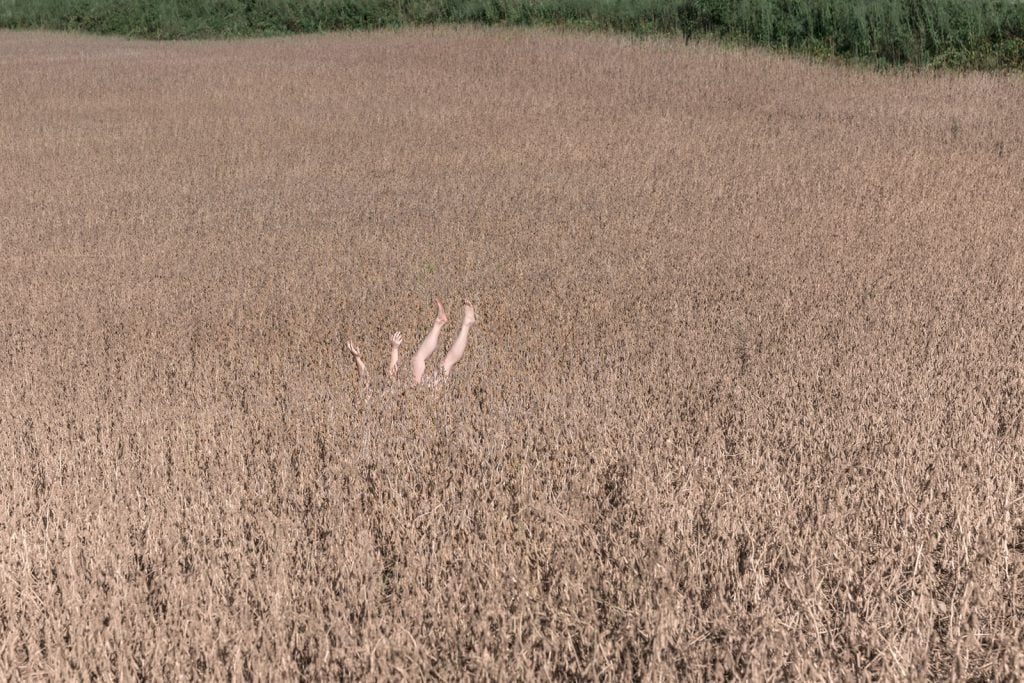 Brooke DiDonato e i suoi nuovi ritratti senza volto | Collater.al