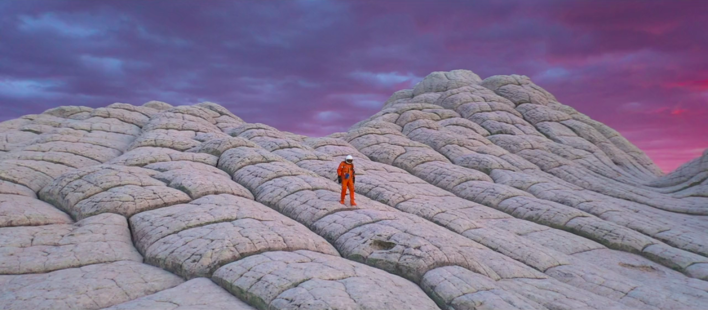 Space to Roam | Collater.al
