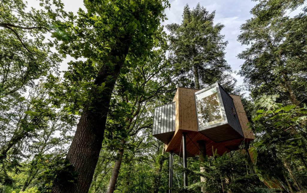 Hotel Lovtag formato da cabine perse nella foresta | Collater.al