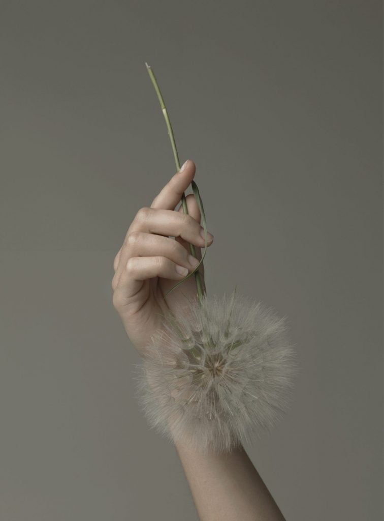 Truthness, le immagini NSFW di Evelyn Bencicova | Collater.al