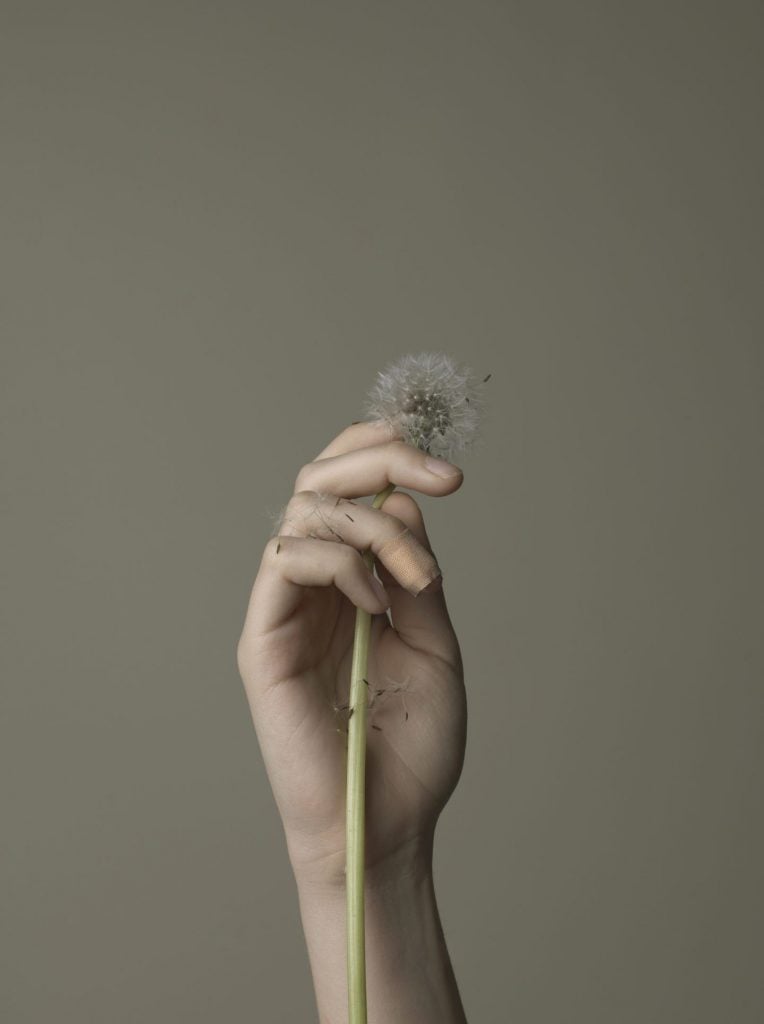 Truthness, le immagini NSFW di Evelyn Bencicova | Collater.al