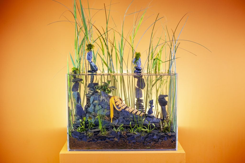 Christophe Guinet Monsieur Plant Sneakerium | Collater.al