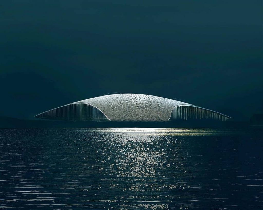 The Whale | Collateral7