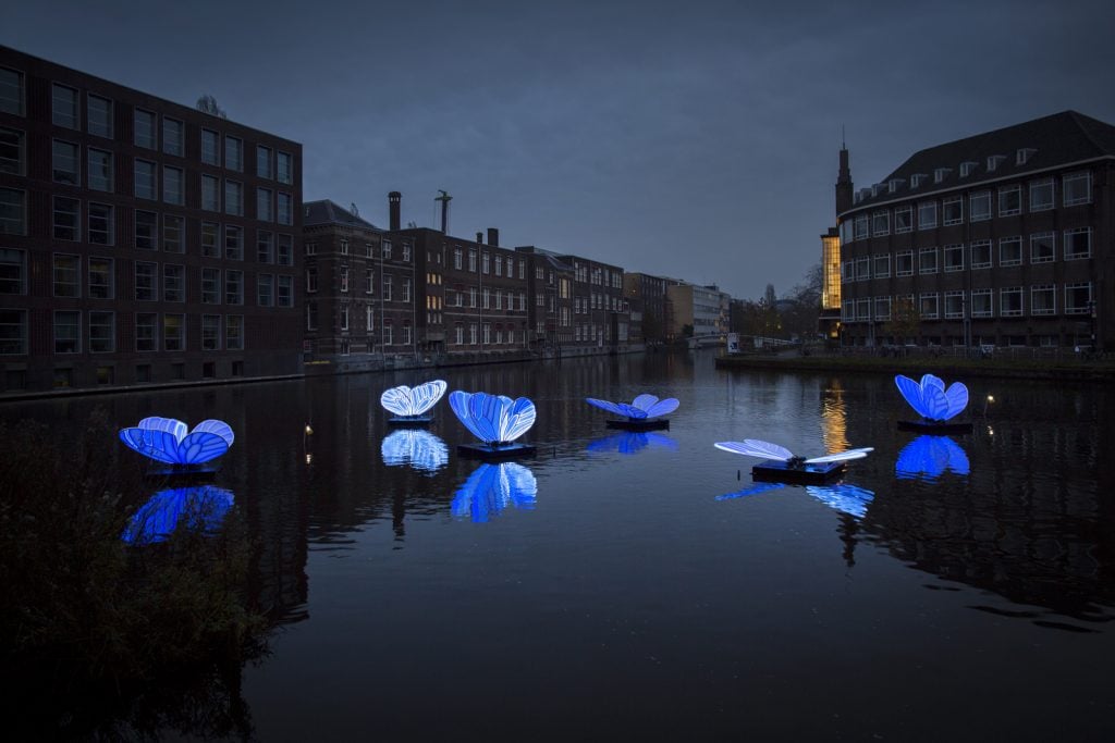 Le spettacoloari immagini dell'Amsterdam Light Festival 2019 | Collater.al