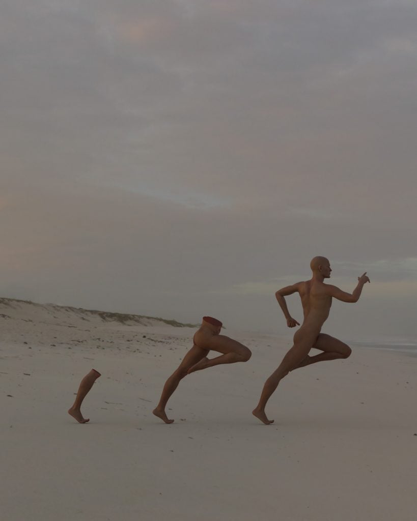 Paulo Abreu | Collater.al