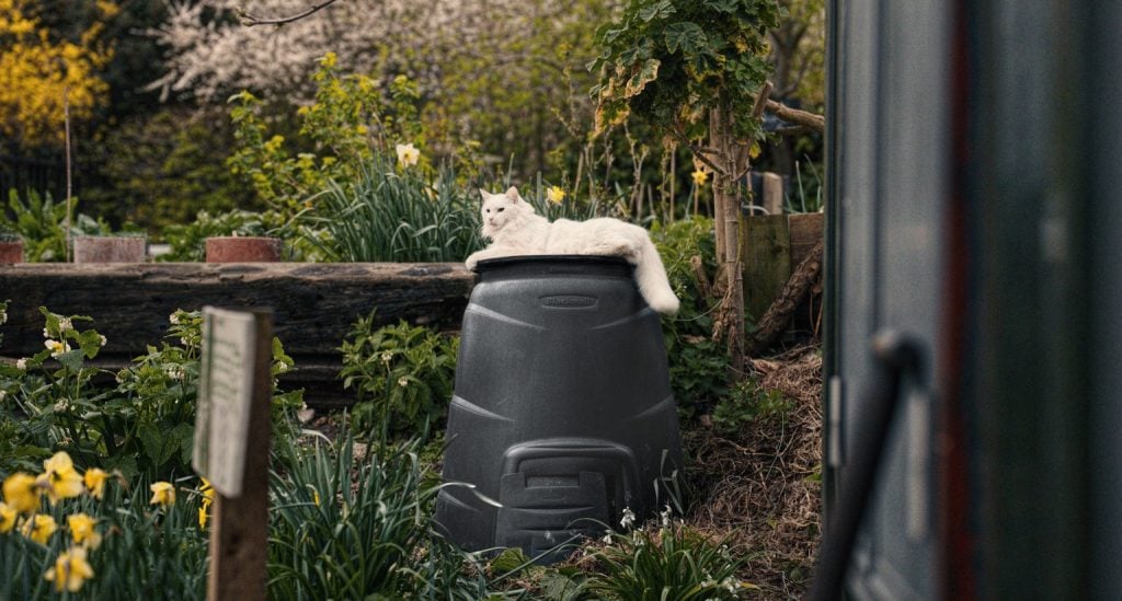 "Welcome Back” Guinness | Collater.al