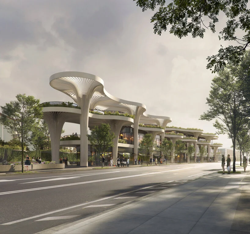 Solar Trees Marketplace | Collater.al 1
