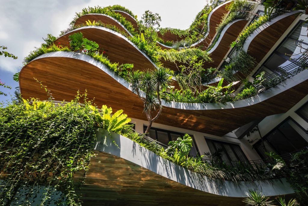 City Oasis