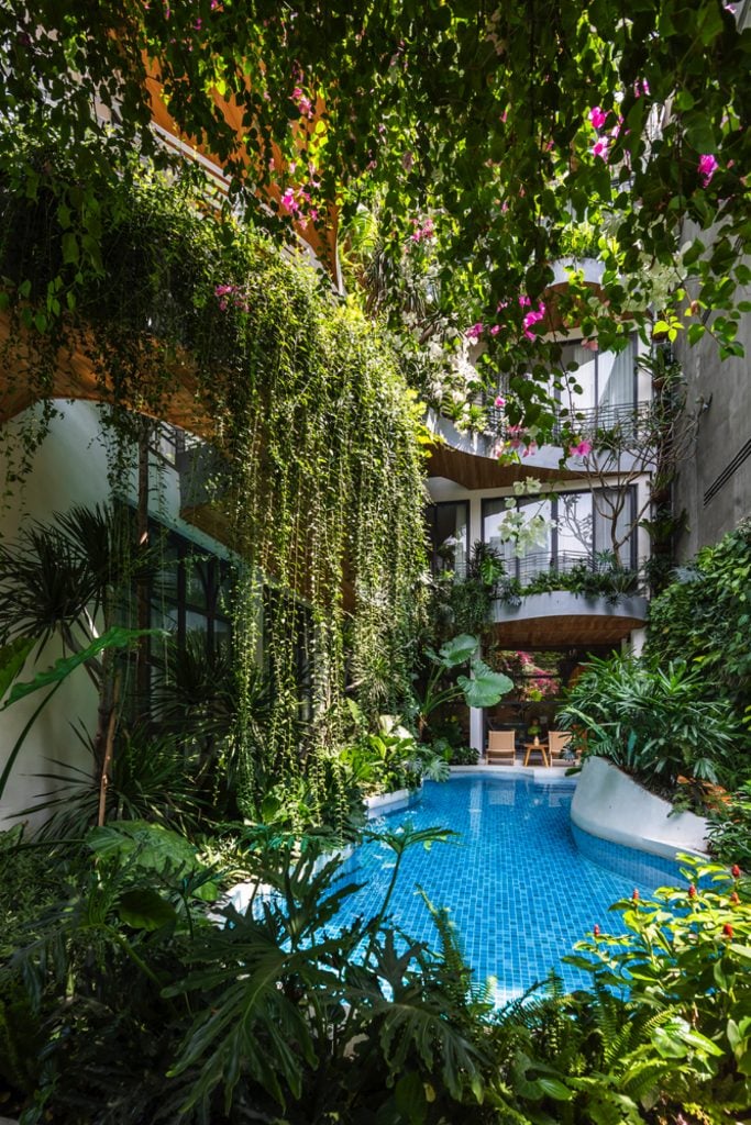 City Oasis