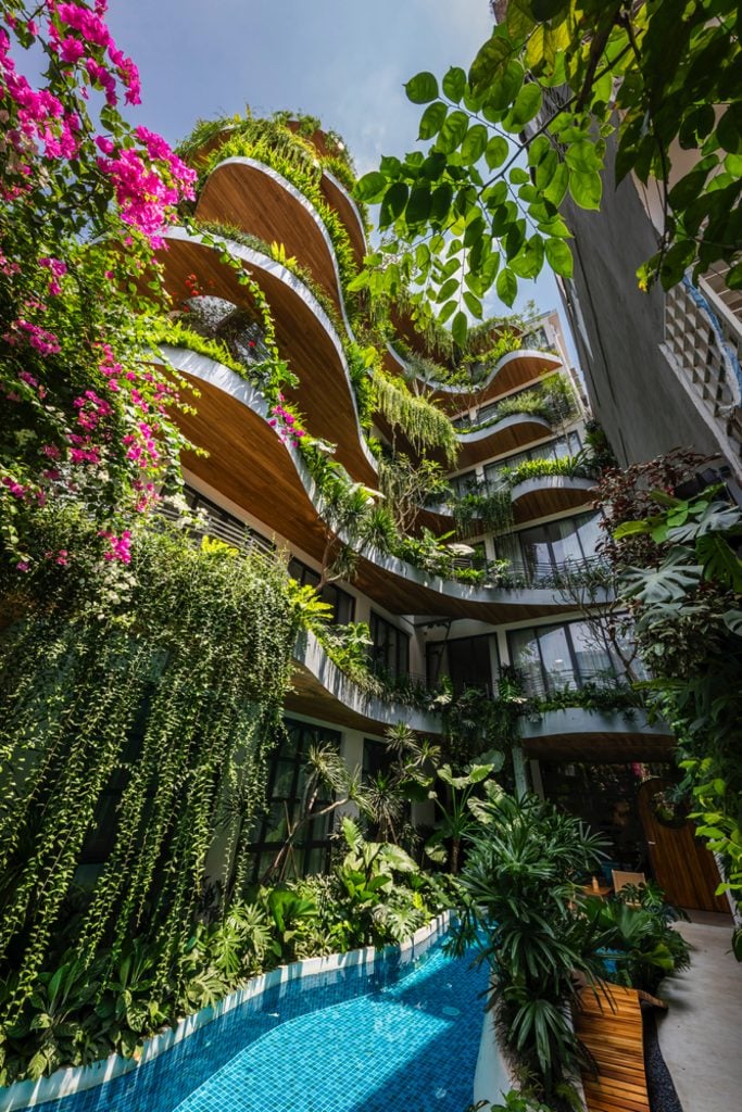 City Oasis